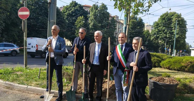 Nuovi alberi piantumati a Torino Nuovi alberi piantumati a Torino