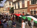 Foto d'archivio di una protesta pro Pal Foto d'archivio di una protesta pro Pal