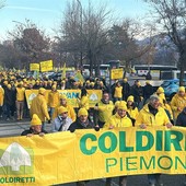 Mercosur, Coldiretti: "Consumatori torinesi a rischio per prodotti alimentari ottenuti senza rispettare la salute, l’ambiente e i diritti dei lavoratori"