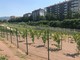 Una immagine del parco intitolato a Pietro Mennea