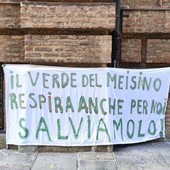 Alcuni momenti della protesta degli ambientalisti
