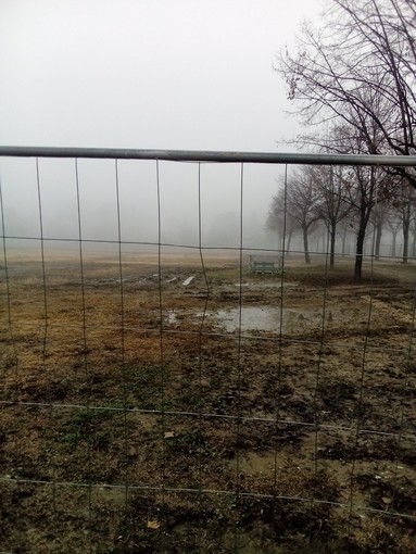 Un lettore segnala le condizioni del prato di piazza d'Armi dopo le Atp Finals