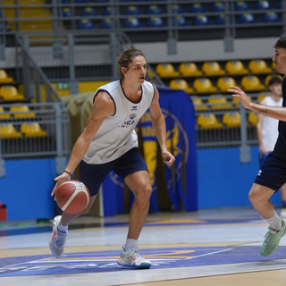 Basket, la Reale Mutua Torino a caccia del successo casalingo: arriva Cividale Basket, la Reale Mutua Torino a caccia del successo casalingo: arriva Cividale