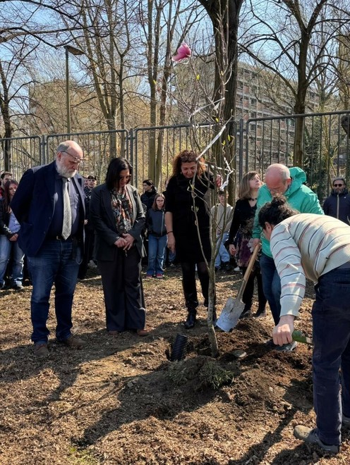 Un momento della piantumazione della magnolia Un momento della piantumazione della magnolia