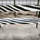 La panchina dipinta di bianconero