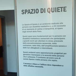 Salone “impossibile” per le persone autistiche: lo sfogo dell'attivista Lunny: “Ko dopo poche ore”