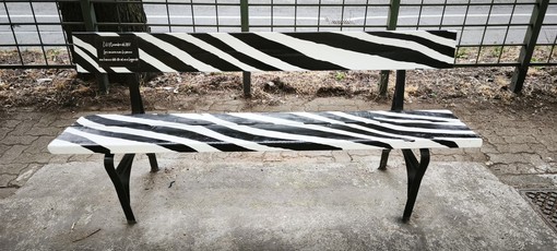 La panchina dipinta di bianconero