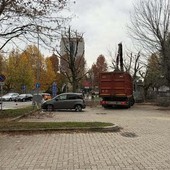 Nichelino: parcheggiano in divieto di sosta e impediscono la potatura degli alberi