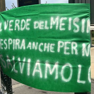 Meisino, presidio davanti al tribunale: “Fermate lo scempio”