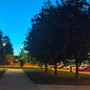 Vandalizzato il parco di Grugliasco dedicato a Falcone e Borsellino Vandalizzato il parco di Grugliasco dedicato a Falcone e Borsellino