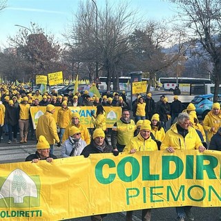 Mercosur, Coldiretti: "Consumatori torinesi a rischio per prodotti alimentari ottenuti senza rispettare la salute, l’ambiente e i diritti dei lavoratori"