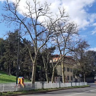 Corso Lanza chiuso per lavori, stop al traffico fino all’8 agosto