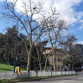 Corso Lanza chiuso per lavori, stop al traffico fino all’8 agosto