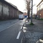 Immagine di archivio