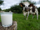 Spesa più sicura: dal 19 aprile obbligatoria l'indicazione di origine per latte e derivati