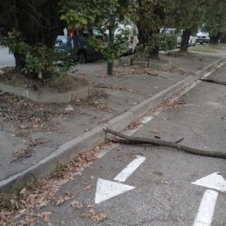 Via Tempia trappola per residenti e automobilisti