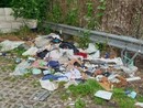 A Nichelino una discarica a cielo aperto nell'area di fronte a I Viali