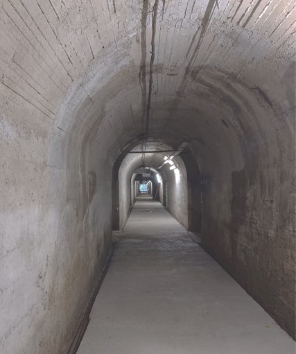 Foto generica d'archivio