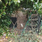 Sbandati nella bocciofila chiusa: “Bisogna assegnarla o saranno guai” Sbandati nella bocciofila chiusa: “Bisogna assegnarla o saranno guai”