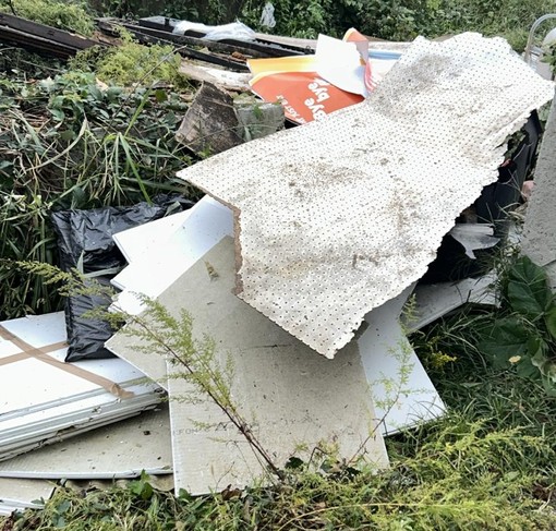 Parco Arrivore trasformato in discarica: cartongesso, rifiuti e un container rovesciato