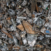 Rifiuti legati al settore dell'elettronica