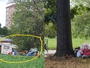 I problemi nella zona di via Gonin e aree intorno, trasformate in un piccolo campo nomadi improvvisato I problemi nella zona di via Gonin e aree intorno, trasformate in un piccolo campo nomadi improvvisato