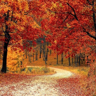 Quale autunno ci aspetta quest'anno?