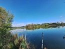 Villaretto, inizia la sfida per recuperare il lago di quartiere Villaretto, inizia la sfida per recuperare il lago di quartiere