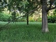 Immondizia e rimasugli nei parchi dopo il Primo Maggio