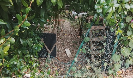 Sbandati nella bocciofila chiusa: “Bisogna assegnarla o saranno guai”