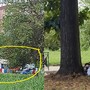 I problemi nella zona di via Gonin e aree intorno, trasformate in un piccolo campo nomadi improvvisato