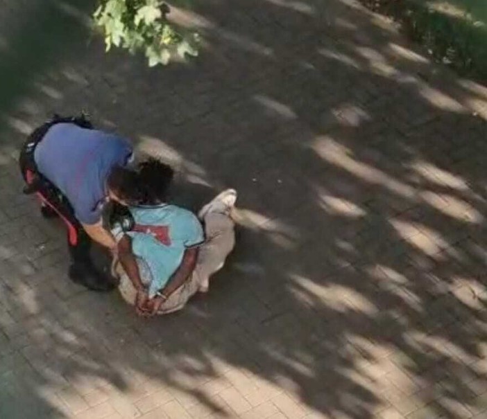 Rissa ai giardini Madre Teresa Rissa ai giardini Madre Teresa