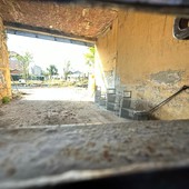 Via Druento, le associazioni chiedono di prolungare lo stop dei lavori: “Dobbiamo salvare altri animali”