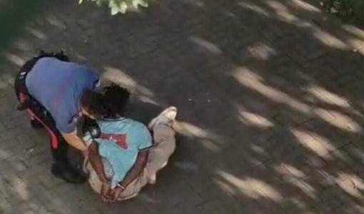 Rissa ai giardini Madre Teresa