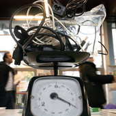 UniTo e Polito al top in Italia per sostenibilità ambientale per GreenMetric 2025 UniTo e Polito al top in Italia per sostenibilità ambientale per GreenMetric 2025