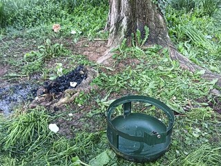 Immondizia e rimasugli nei parchi dopo il Primo Maggio