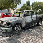 rogo auto