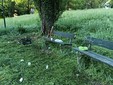 Immondizia e rimasugli nei parchi dopo il Primo Maggio