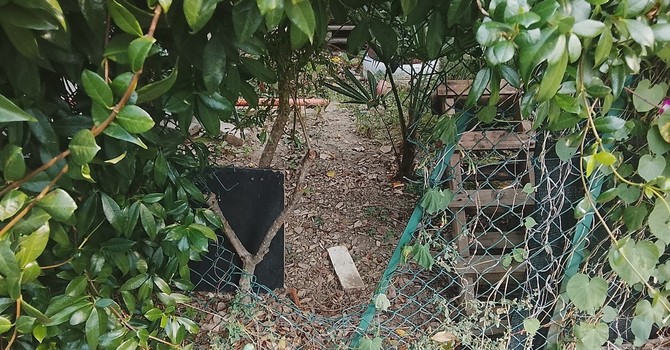 Sbandati nella bocciofila chiusa: “Bisogna assegnarla o saranno guai”