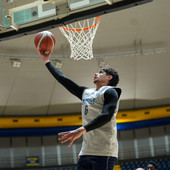 Basket, Reale Mutua in cerca di riscatto contro la Tezenis Verona Basket, Reale Mutua in cerca di riscatto contro la Tezenis Verona