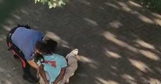 Rissa ai giardini Madre Teresa Rissa ai giardini Madre Teresa