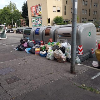 Rifiuti, puzza ed insetti dai bidoni: disagi per un bar e residenti in via Cravero