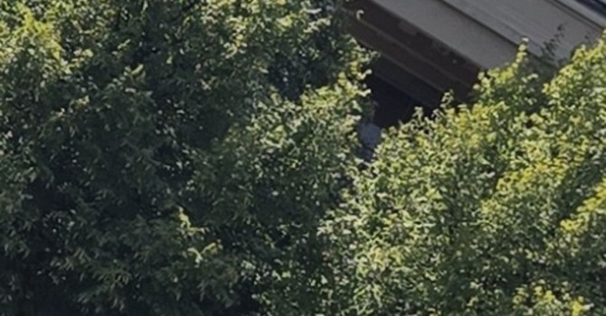 Nuove segnalazioni di degrado in via Fenoglietti, Nizza Millefonti Nuove segnalazioni di degrado in via Fenoglietti, Nizza Millefonti