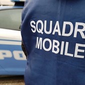 A Borgo Dora trovata sostanza stupefacente nascosta sotto le foglie di un albero