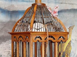 Alcune stampe donate dalla famiglia alle Molinette Alcune stampe donate dalla famiglia alle Molinette