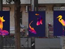 Via Borgaro si colora: dieci nuove serrande artistiche a tema animale Via Borgaro si colora: dieci nuove serrande artistiche a tema animale