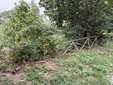Vandali in azione in Circoscrizione 7