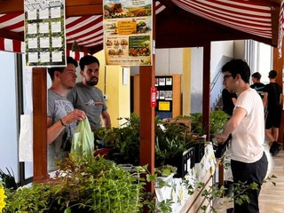 A Pianezza si fa il punto sui lavori al Dalmasso