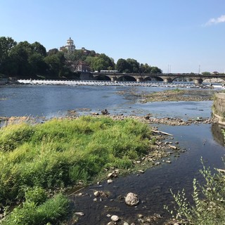 S.O.S. Po, il fiume sta sparendo: a Torino livello idrometrico a zero, riaffiorano isolotti e rifiuti [FOTO e VIDEO]