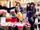 Le stelle di Natale AIL riempiono nel weekend le piazze di Torino: ecco dove trovarle